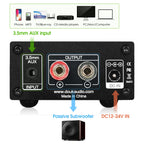 Nobsound Latest Mini 100W Subwoofer / Full Frequency Power Amplifier Mono Channel Audio TPA3116D2 Amp