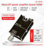 100W Bluetooth 5.1 TPA3116D2 Mono Bt Audio Power Amplifier Module AMP Amplificador Home Theater With TWS Mode 1001B