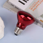 25/40/50/60/75/100W E27 UVA Poultry Bulb Infrared Night Light Day Poultry Heating Bulb For Plants Amphibians Reptile Pets