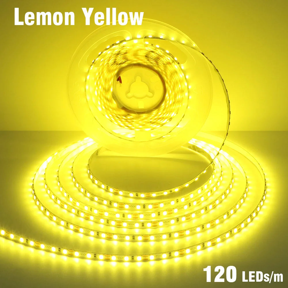 5mm 8mm LED Strip 2835 DC24V 12V 120LEDs/m Home Lamp Strips Red Ice Blue Yellow Orange Pink Flexible And Cuttable Soft Lamp Bar