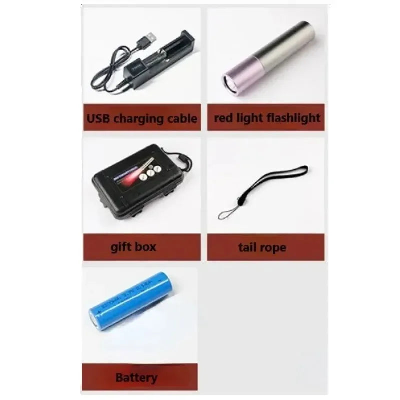 Led Flashlight Portable Red Light Therapy Red Light Infrared Lamp Led Therapy Skin Care Pet-friendly Pain Relief Muscle Pain