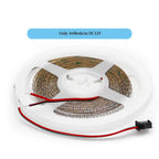 2.7mm WS2812 RGBIC LED Light 160Leds/M WS2812B 2020SMD Addressable Strip Lamp With DC/USB 28keys BT Music Led Controller DC5/12V