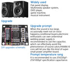 PAM8610 Digital Power Amplifier Board 2x15w Dual Channel Stereo Mini Class D 12V Mini Hi-Fi Audio Stereo Module 2X10W