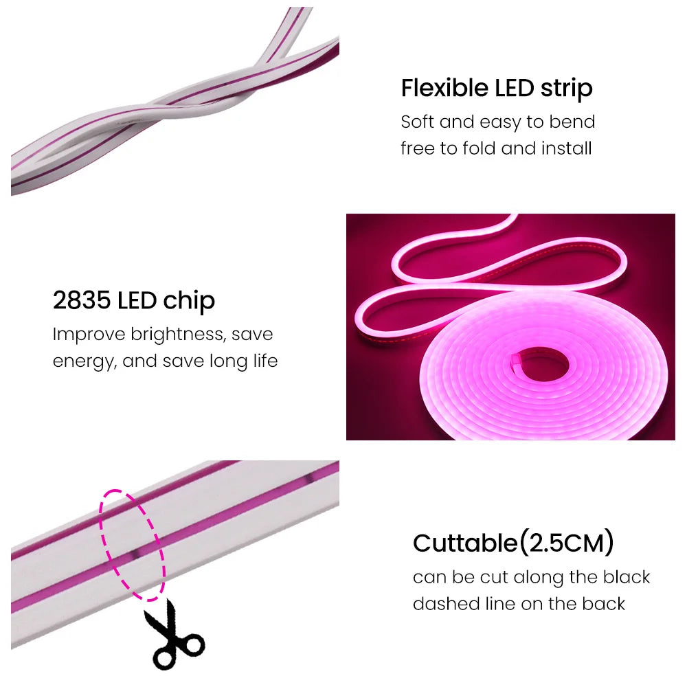 12V 24V LED Neon Light Strip Waterproof Neon Sign 6X12mm Silicone Rope Lights Flexible Lamp Decoration with DC Plug/2pin Wire