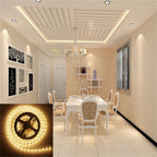 5M LED Strip Light 12V 300 Leds SMD 3528 RGB & Single Color Flexible Ribbon High Quality Home Decoration Lights
