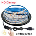5V USB Led Strip Light SMD 2835 50CM 1M 2M 4M 5M White/Warm White/Red/Blue/Green IP21 Flexible Lighting Ribbon Tape Backlight