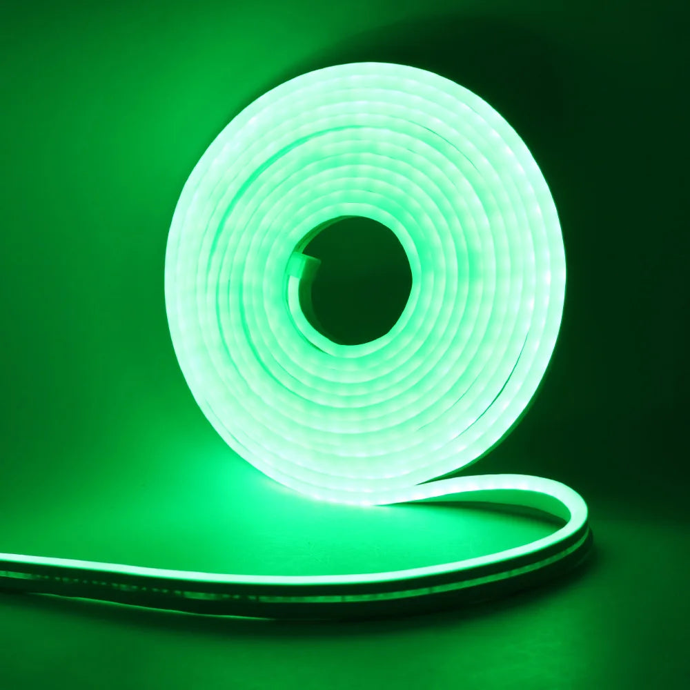 12V 24V LED Neon Light Strip Waterproof Neon Sign 6X12mm Silicone Rope Lights Flexible Lamp Decoration with DC Plug/2pin Wire