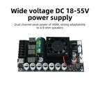 DC 18-55V TPA3255 Fever HIFI Digital Amplifier Board 300W+300W High Power Stereo Amplifier Module