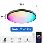 TUYA Intelligent LED Ceiling Light RGB Remote Dimming WiFi Bluetooth Decorative Light Living Room Bedroom Indoor Home Light