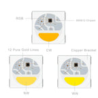 SK6812 4 in 1 RGBW Led Strip Light Similar WS2812B Individual Addressable RGBWW Led Lights 30 60 144Leds/m IP30 65 67 DC5V