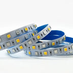 12V 24V 5M SMD 5050 3528  WW/CW RGBCCT 60leds/m 96leds/m 120leds/m 5 Colors In 1 Chip CW+RGB+WW Led Strips Flexible Tape Light