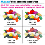 Auxmer Low Power 2835 LED Strip,Mono Color,120LEDs/m 240LEDs/m,CRI＞95/90,3SDCM,Super Bright Flex LED DC12/24V,5m/reel,IP20