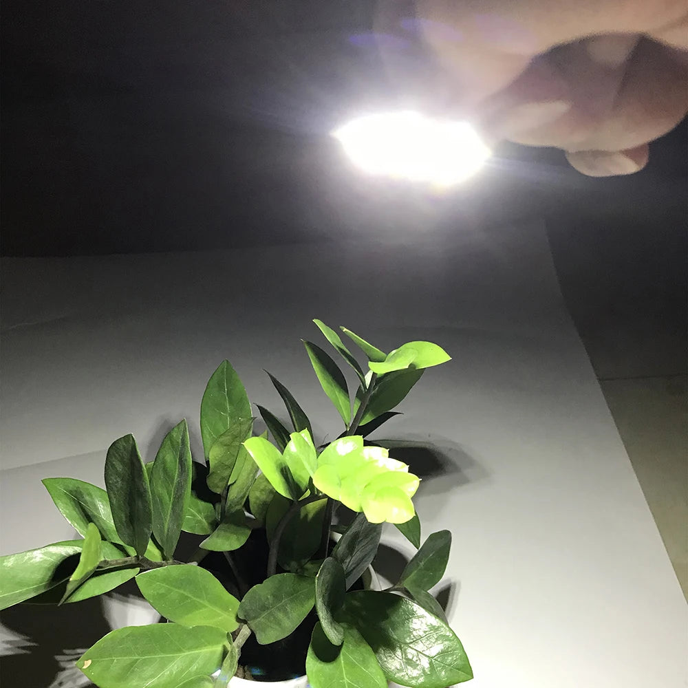 5pcs High Brightness 1.5W 5V LED 5730 SMD Color Lamp Bead Light Board Bulb With Line Red Yellow Green Blue Warm White Light