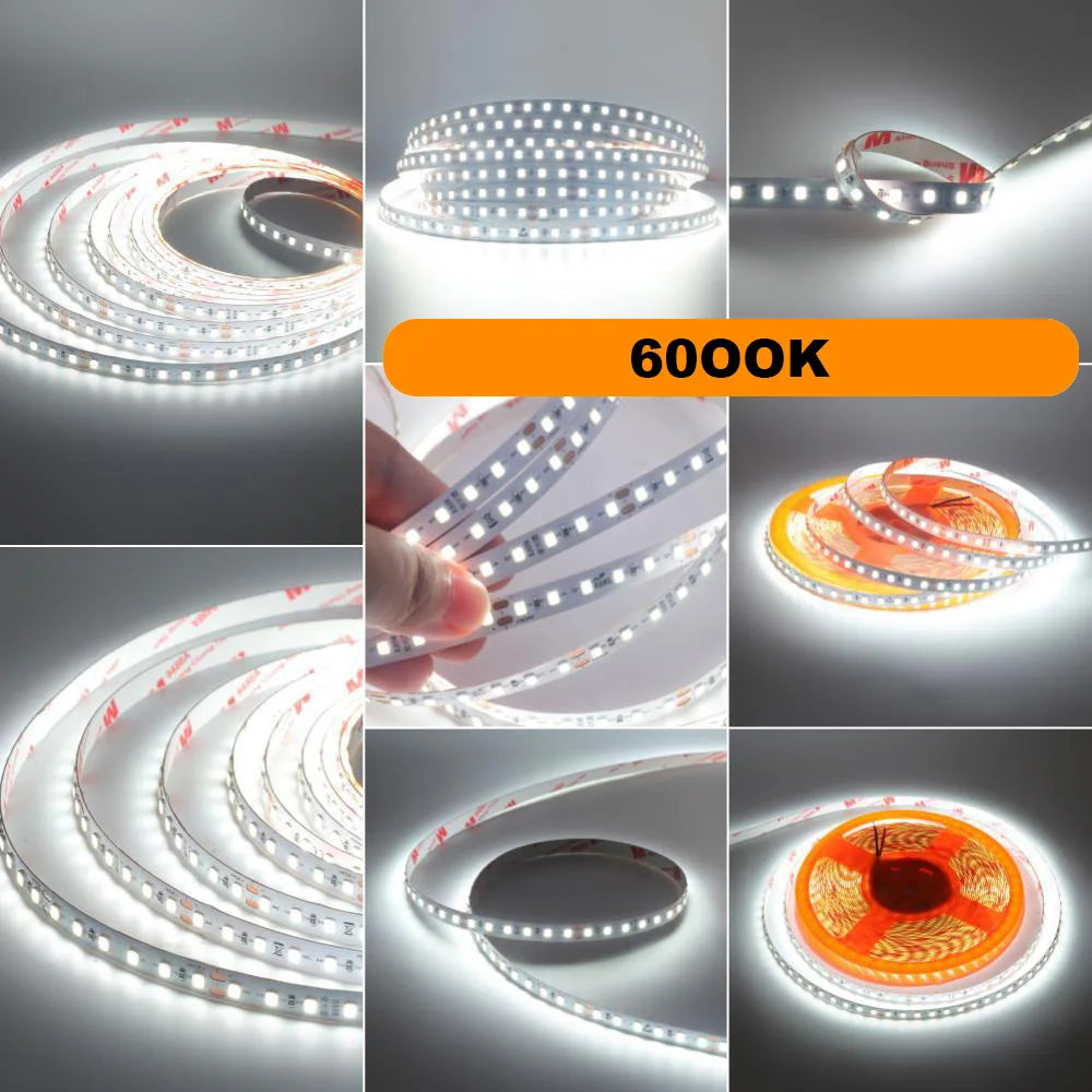 5m 10m RA98 LED Strip Light 2700K 3000K 3500K 4000K 5000K 6000K 12V 24V 2835 Flex Tape Stripe Hight Bright 120LED Home Lighting