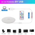 USB WS2812B WS2811 Round Reticulate Neon LED Strip DC 5V 360 Degree Addressable Bluetooth RGBIC Flexible Silicone Tape IP67 Rope