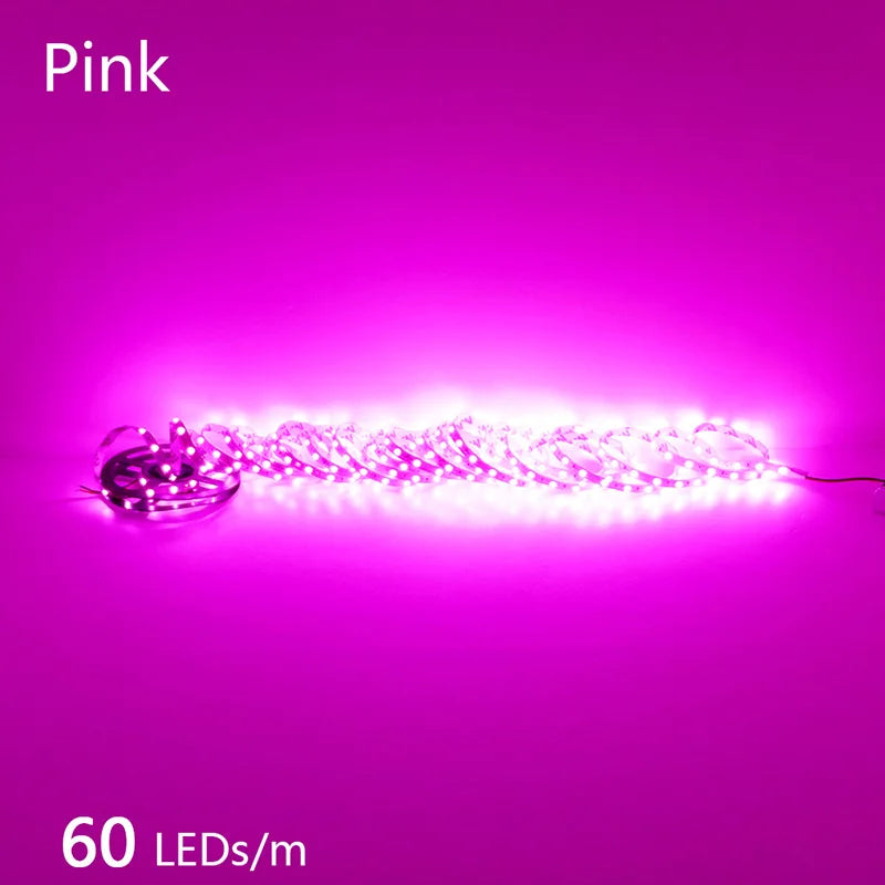2835 5M 300 600 1200LEDs LED Strip DC12V 24V 120LEDs/m Home Waterproof IP65 Lamp Strip  Flexible And Cuttable Soft Lamp Bar