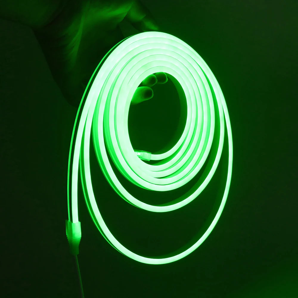 5V Bluetooth RGB LED Neon Strip Light 1M 2M 3M 3AA Battery Box 17Key 24key 44key Remote Control 108Leds/M Waterproof Room Decor