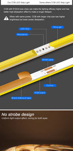 3mm 5mm COB LED Strip 12V 24V Dimmable 3000K 4000K 6000K High Density Flexible LED Light For Home Decor RA90 LED Strip Lights