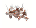 5 Pcs GL12528 Light Sensitive Resistor 12mm Photoresistor 12528 LDR Dependent Resistance GL12 Photo Resistor Item Kit Set