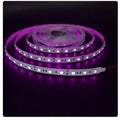 InfraRed 850nm 940nm 60leds/m IR LED Flexible Ribbon Tape Strips Light SMD 5050 2M 5M Emitting Diode DC12V for Security Cameras