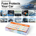 Car Blade Fuse 300/180/120pcs,Standard & Mini Fuses with Storage Box for Truck Motorcycle Boat RV 5A 10A 15A 20A 25A 30A 35A 40A