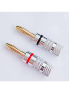 10pcs Banana Connector 4mm Speaker Banana Plugs 24K Gold Plated 4mm Banana Jack Match with 4mm Binding Post