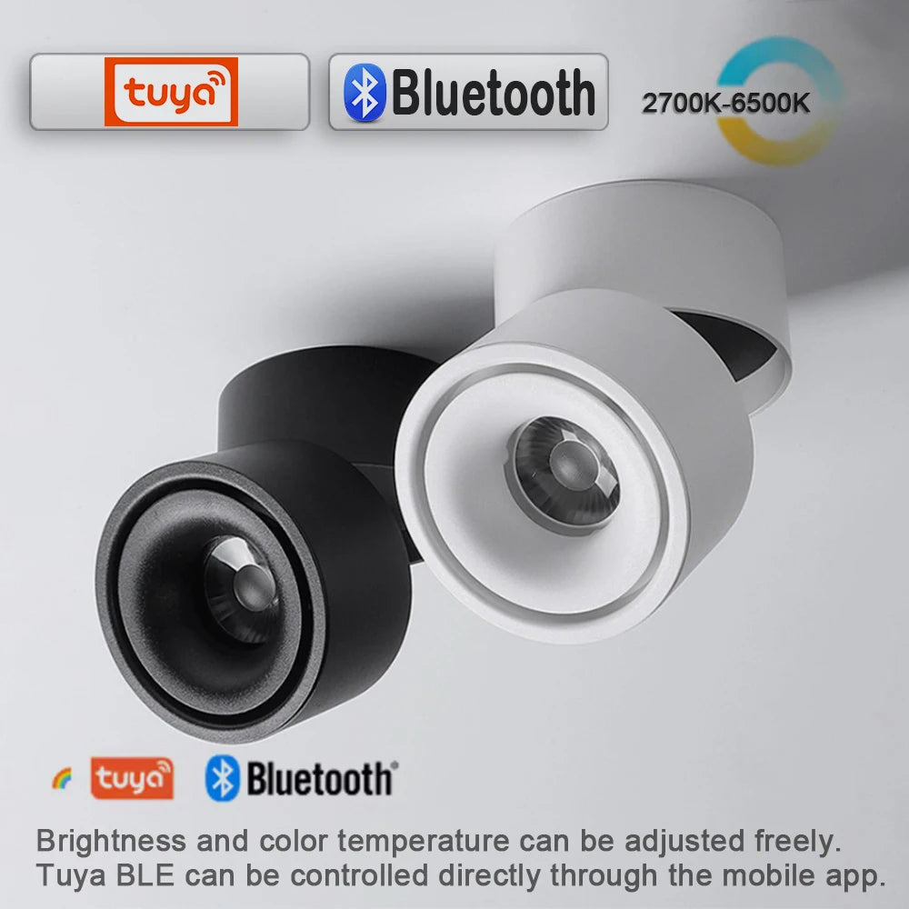 LED Surface Mounted Ceiling Light, 3CCT TUYA Bluetooth/Zigbee Matter Smart Spotlight Dimmable AC110V 220V Indoor Lighting