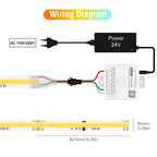 FCOB SPI CCT IC LED Light Strip WS2811 Addressable 576 LEDs 2700K to 6500K 10mm DC24V Flexible FOB High Density COB Lights RA90