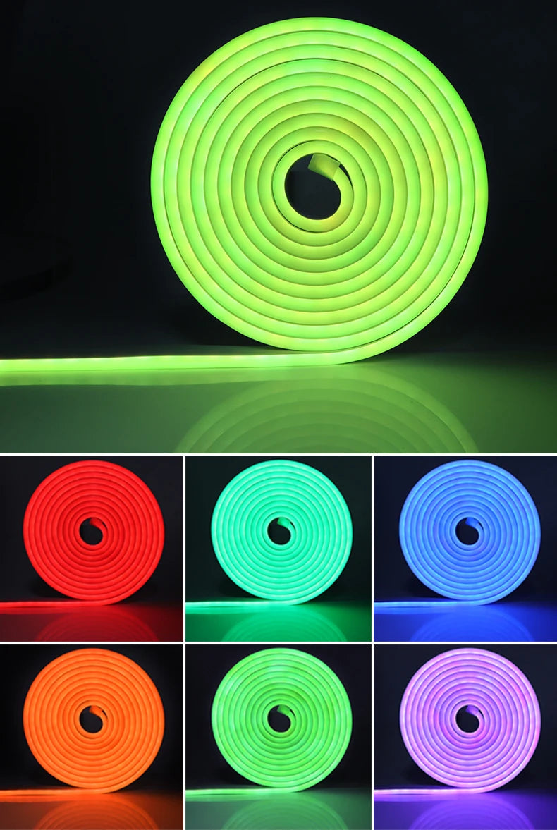 DC12V 1M 2M 3M 4M 5M RGB Neon LED Strip Ligts with Zigbee 3.0 Smart Wifi Controller Tuya Switch Home Decoration Silica Gel -EU