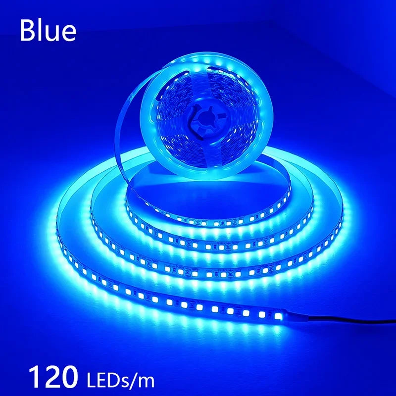 12V 24V LED Strip 2835 120LEDs/m Home Lamp Strip Pink Red Ice Blue Green Golden Yellow Orange Flexible Waterproof Soft Lamp Bar