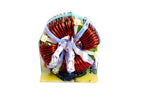 Ferrite Toroidal Core Choke 3 Phase 1H Inductor Coils Energy Storage Systems' Common Mode Coil Optimized for