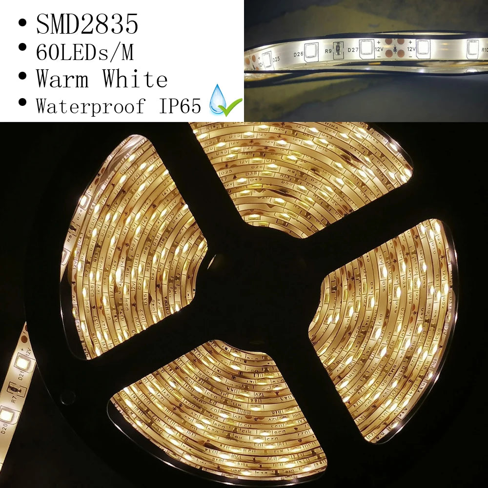 12V 24V 2835 LED Strip 5m 10m 15m 20m Tape Light Ribbon 60/120/240/480 LED Natural White / Warm White / Cold White Home Decor