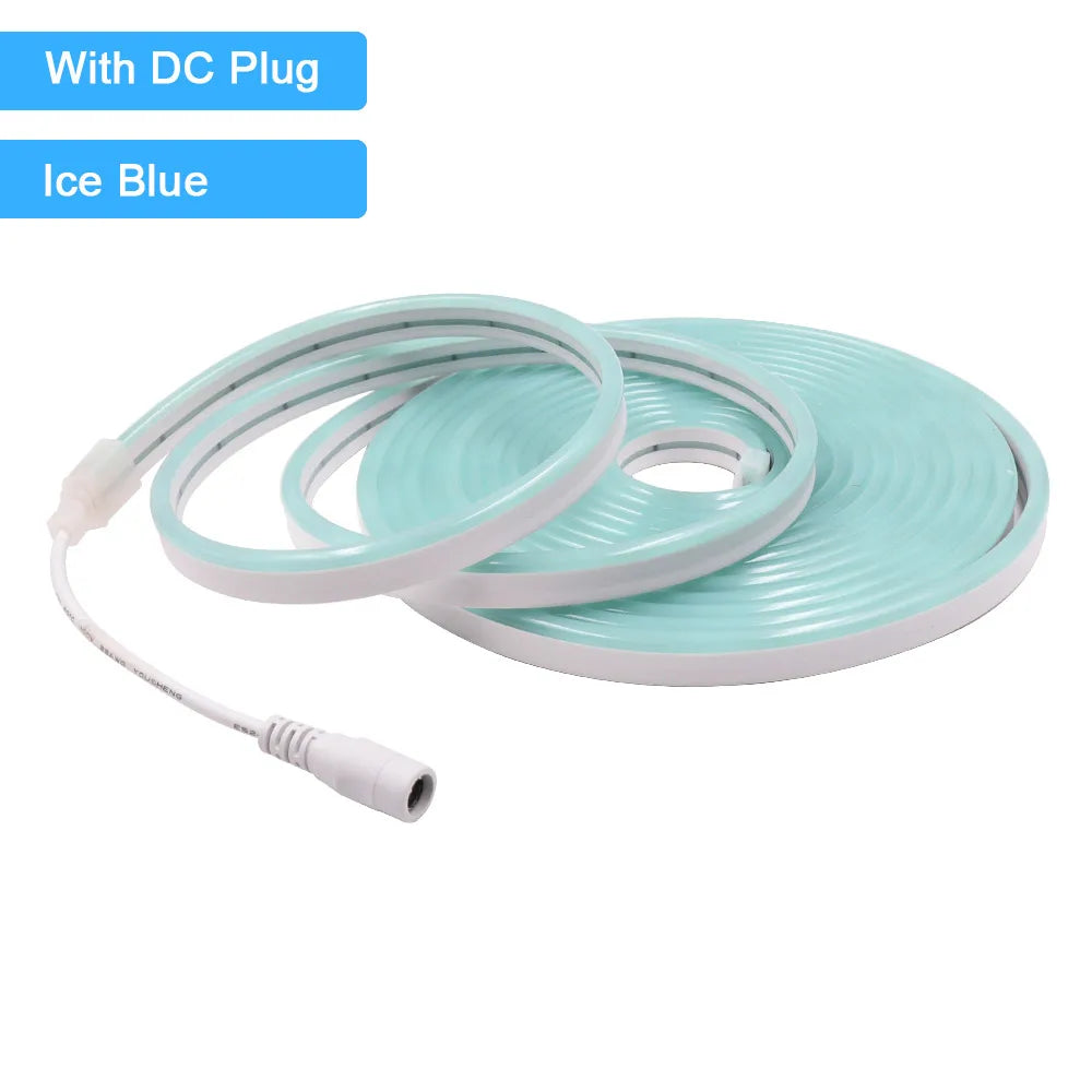 12V 24V LED Neon Light Strip Waterproof Neon Sign 6X12mm Silicone Rope Lights Flexible Lamp Decoration with DC Plug/2pin Wire