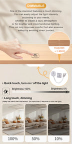 12V/24V 60W Touch Switch, Suitable for Concealed Installation in Furniture with a Thickness of 0-40mm, LED Touch Dimming Sensor.