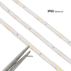5m Waterproof 300LED 3528 2835 LED strip, 12V Flexible Lght 60 Or 120 Led/m LED Tape, RGB/White/Warm White/Blue/GreenRed/Yellow