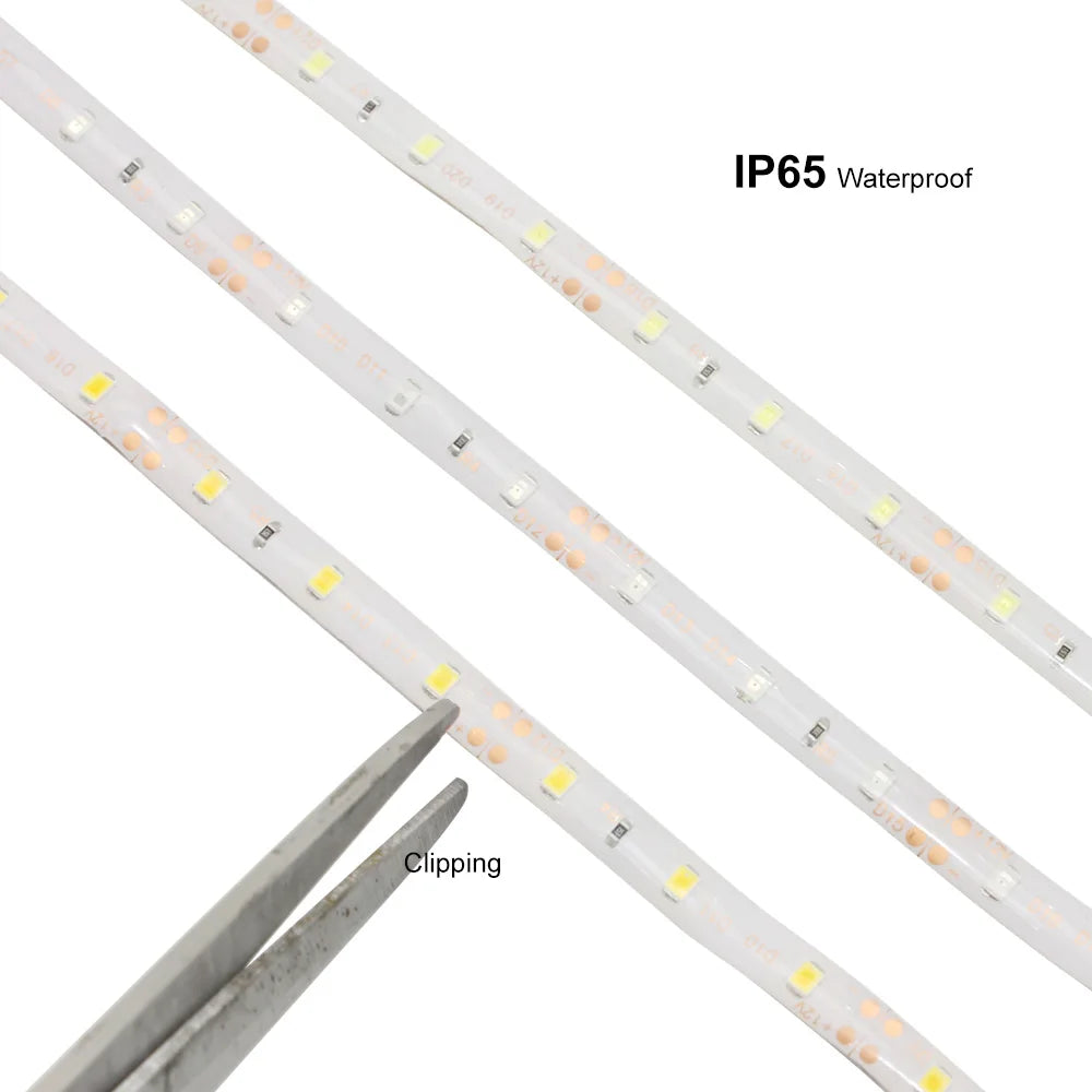 5m Waterproof 300LED 3528 2835 LED strip, 12V Flexible Lght 60 Or 120 Led/m LED Tape, RGB/White/Warm White/Blue/GreenRed/Yellow