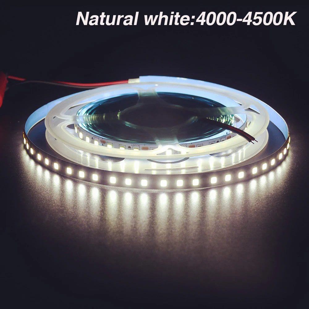 DC 12V LED Strip Light SMD 2835 120LEDs/m Red Green Blue Warm Cold White Home Decor Flexible Ribbon Tape Rope Linear Lighting