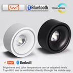 LED Surface Mounted Ceiling Light, 3CCT TUYA Bluetooth/Zigbee Matter Smart Spotlight Dimmable AC110V 220V Indoor Lighting