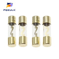 5PCS 10*38 Gold Plated Glass AGU Fuse Fuses Pack Car Audio Amp Amplifier 10A 15A 20A 25A 30A 40A 50A 60A 70A 80A 100A