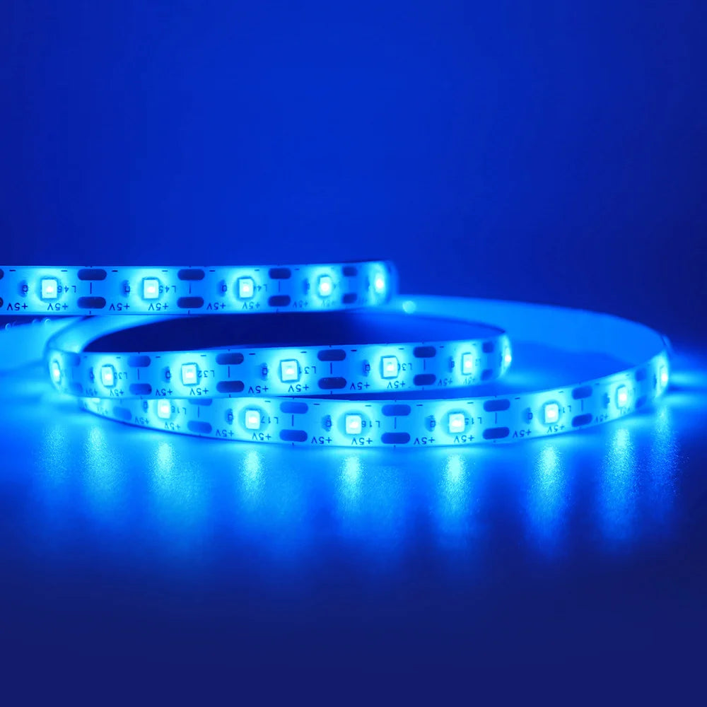 5V USB 2835 LED Strip Light with DC Plug 3528 SMD Flexible Led Tape Ribbon 60LED 0.5m 1m 2m 5m Cabinet Lights Night TV Backlight