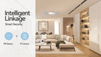 Meian Wired PIR Motion Sensor, Infrared Alarm Detector, Human Body Presence Sensor, Smart Home Security, Work with Alarm Host