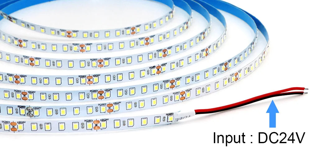 Single Strip 5m 10m 15M 20m Long LED Strip DC24V 120LEDs/m Light Strip Flexible Cuttable Whole Length Is 20meters Soft Lamp Bar