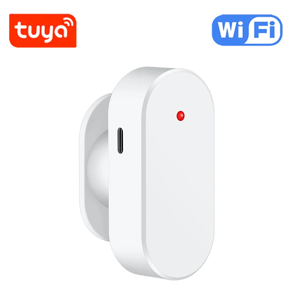 Haozee 24G Zigbee/Wifi Human Presence Detector Smart Human Body PIR Sensor Radar Detector Motion Sensors Support Home Assistant