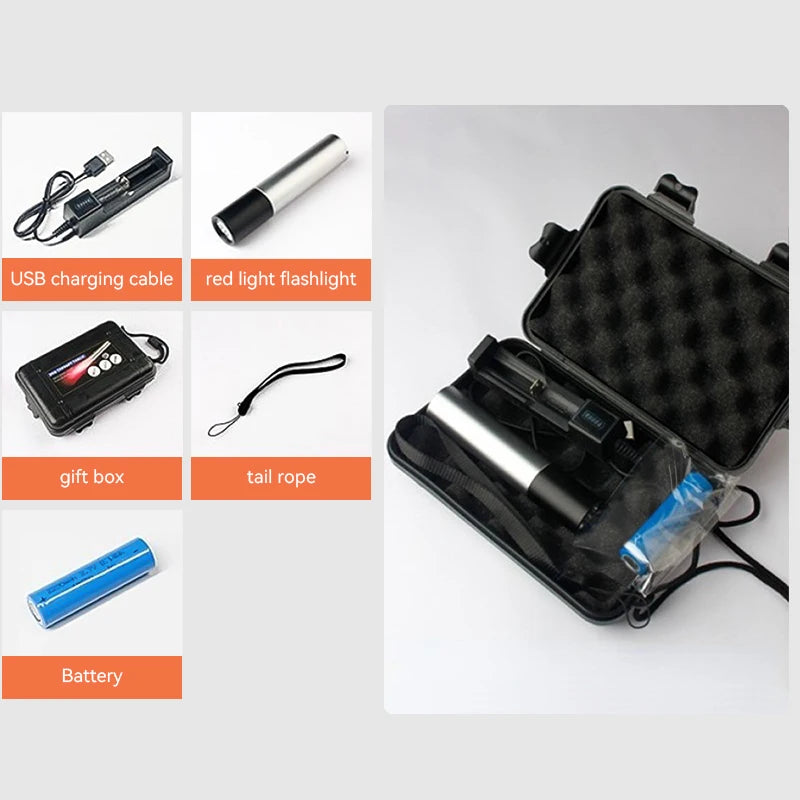 Portable Red Light Therapy Red Light Led Flashlight Pain Relief Muscle Pain Infrared Lamp Led Therapy Skin Care Pet-friendly