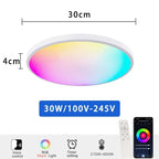TUYA Intelligent LED Ceiling Light RGB Remote Dimming WiFi Bluetooth Decorative Light Living Room Bedroom Indoor Home Light