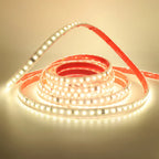 AC 2835 Led Strip Lights Dimmable 220V 230V 120 LEDs/m 0.5m 1m 2m 5m 10m 20m 50m Waterproof High Brightness Diode Tape Adhesive