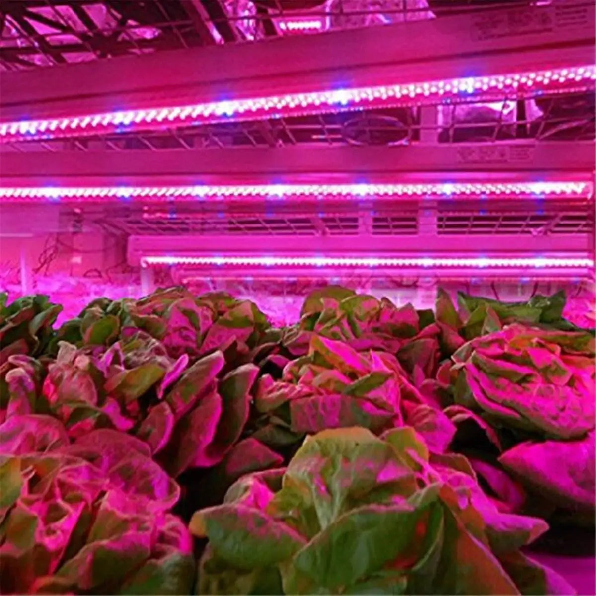 LED Grow Light Full Spectrum USB Grow Light Strip 0.5m 1m 2m 2835 Chip LED Phyto Lamp for Plants Flowers Greenhouse Hydroponic