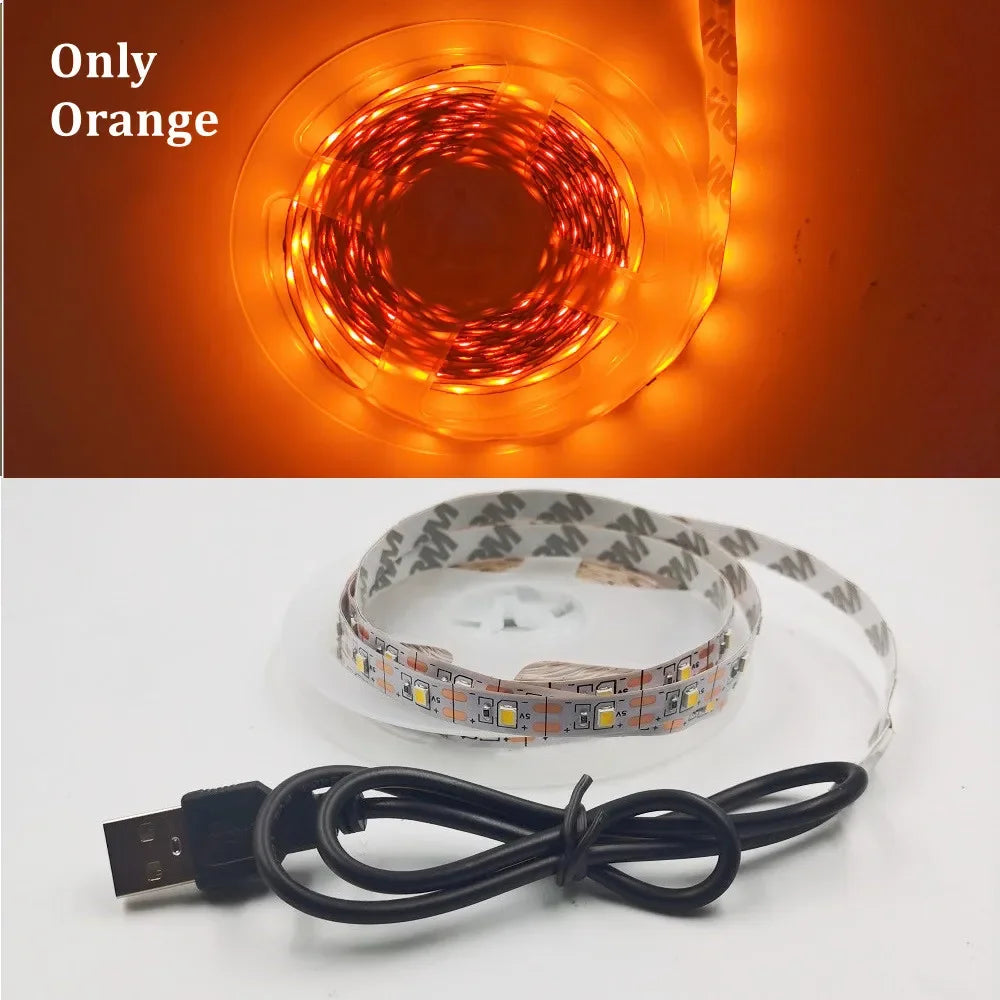 5M USB LED Strip Light 5V 3528 1 Meter 5 Meter Warm Cool White Pink Green Blue Red SMD Ribbon Ceiling Cabinet Light Waterproof