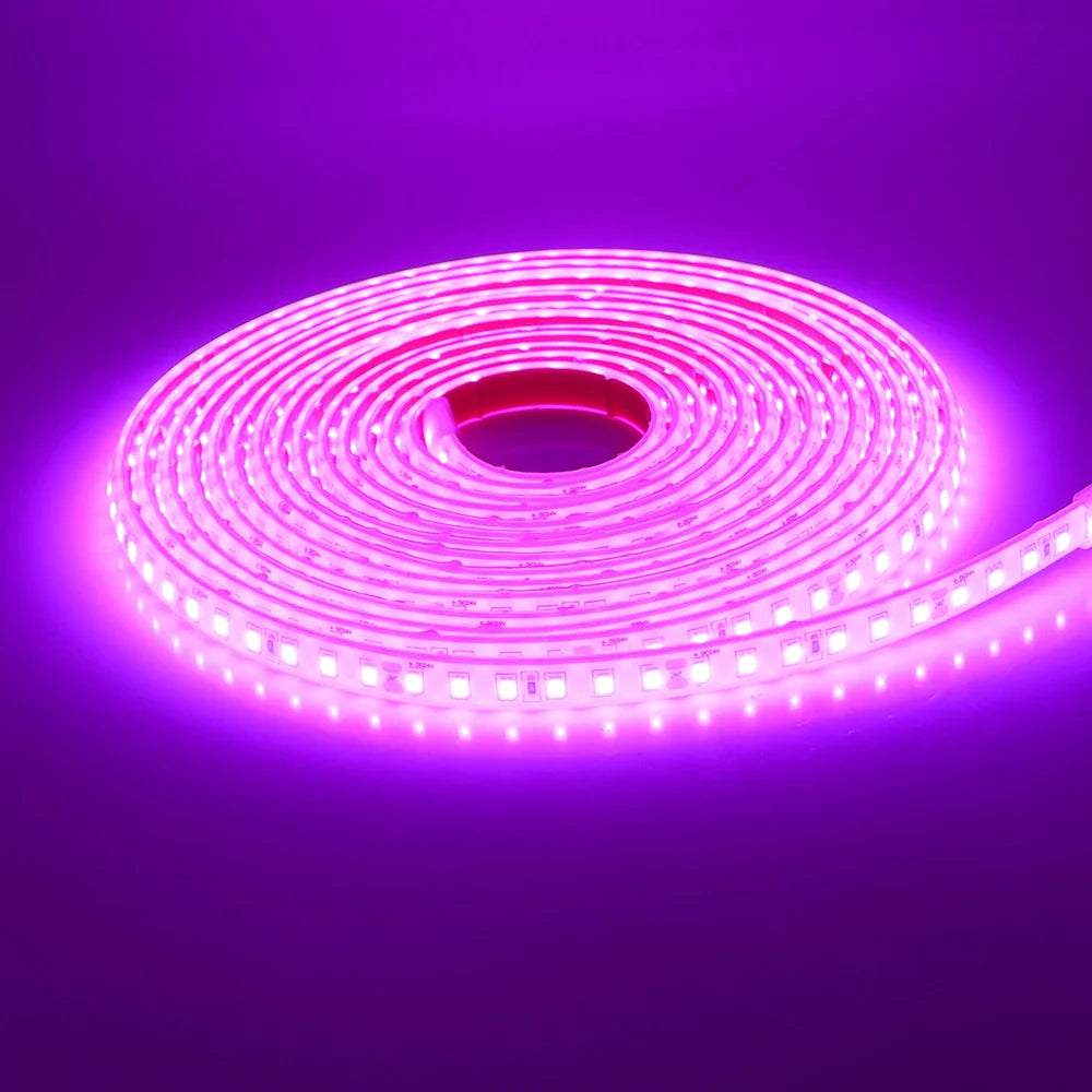 12V 24V 5m 10m 20m LED Strip Light IP68 Waterproof 2835 9 Colors Flexible Tape with 2pin Wire 120LED/m Bright Ribbon 0.5m 1m 2m