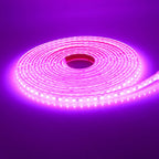 12V 24V 5m 10m 20m LED Strip Light IP68 Waterproof 2835 9 Colors Flexible Tape with 2pin Wire 120LED/m Bright Ribbon 0.5m 1m 2m